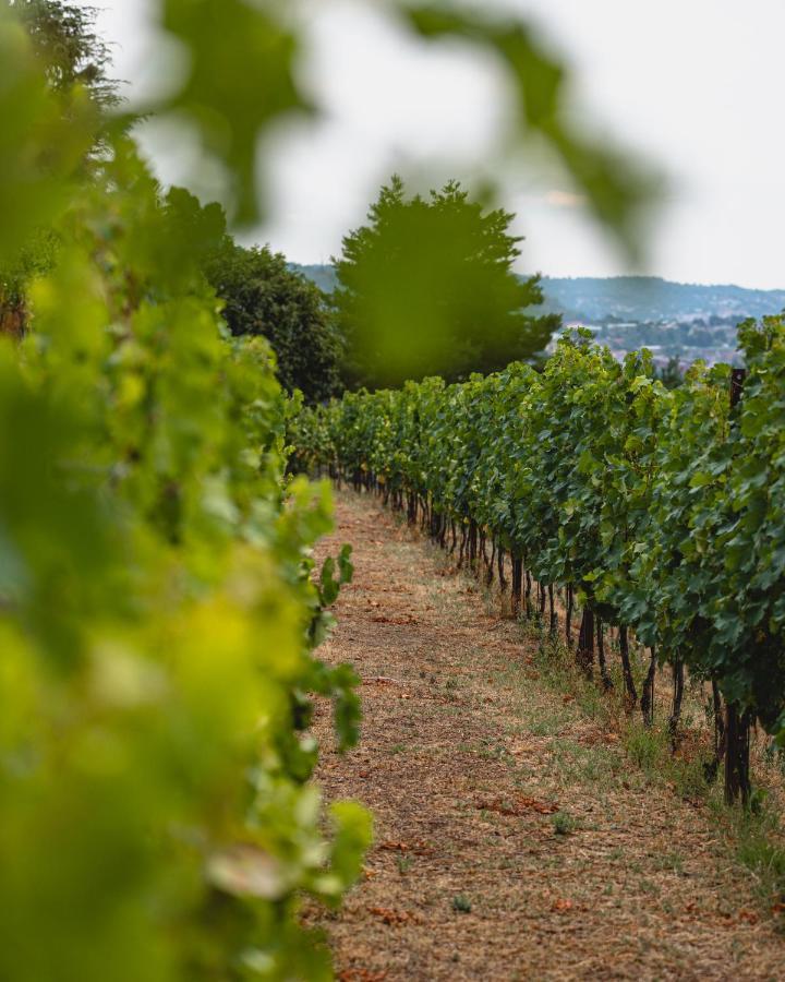 Tenuta Ronco Regio San Fermo della Battaglia ภายนอก รูปภาพ